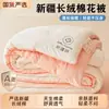 Colcha de Algodão de Xinjiang Classe A Colcha de Inverno Colcha para Dormitório Estudantil Capa de Colcha de Primavera e Outono Colcha de Algodão Dupla Núcleo de Colcha Colcha para Uso em Todas as Estações