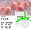 Pendente de Placa de Cera Aromaterápica de Gesso Personalizado Atacado Fragrância de Carro Processamento Incenso Desodorizante para Guarda-Roupa Armário Presente