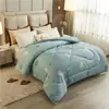 Colcha de Inverno Escovada Amiga da Pele, Núcleo de Colcha Quente, Roupa de Cama para Dormitório Estudantil, Colchas de Solteiro e Casal, Colcha de Algodão para Primavera e Outono, Colcha de Ar Condicionado, Macia