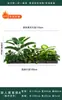 Flores Artificiais Plantas Verdes Conjunto de Divisória Decorativa Flores de Plástico e Seda Decoração de Paisagismo Arranjo de Paisagem Exibição de Janela Interna