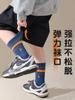 Calcetines para niños otoño e invierno calcetines de algodón calcetines para niños calcetines deportivos tesoro para hombres calcetines antibacterianos calcetines de otoño para niños grandes venta al por mayor