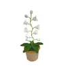 [Producto Terminado] Linterna de Campanillas de Lana Tejida a Mano Transfronteriza Flor Artificial Adornos de Escritorio Tejidos Regalos Creativos