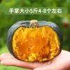 Calabaza Beibei de Shandong 2.5kg Sabor a Castaña Comida para Bebés Vegetal Fresco Ventilador Viejo Japonés Calabaza Pequeña Beibei 0.5kg