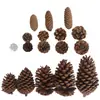 Pinhas naturais transfronteiriças, pinhas, pingentes de decoração para guirlanda de Natal DIY, adereços de arranjo de cena de pinho americano