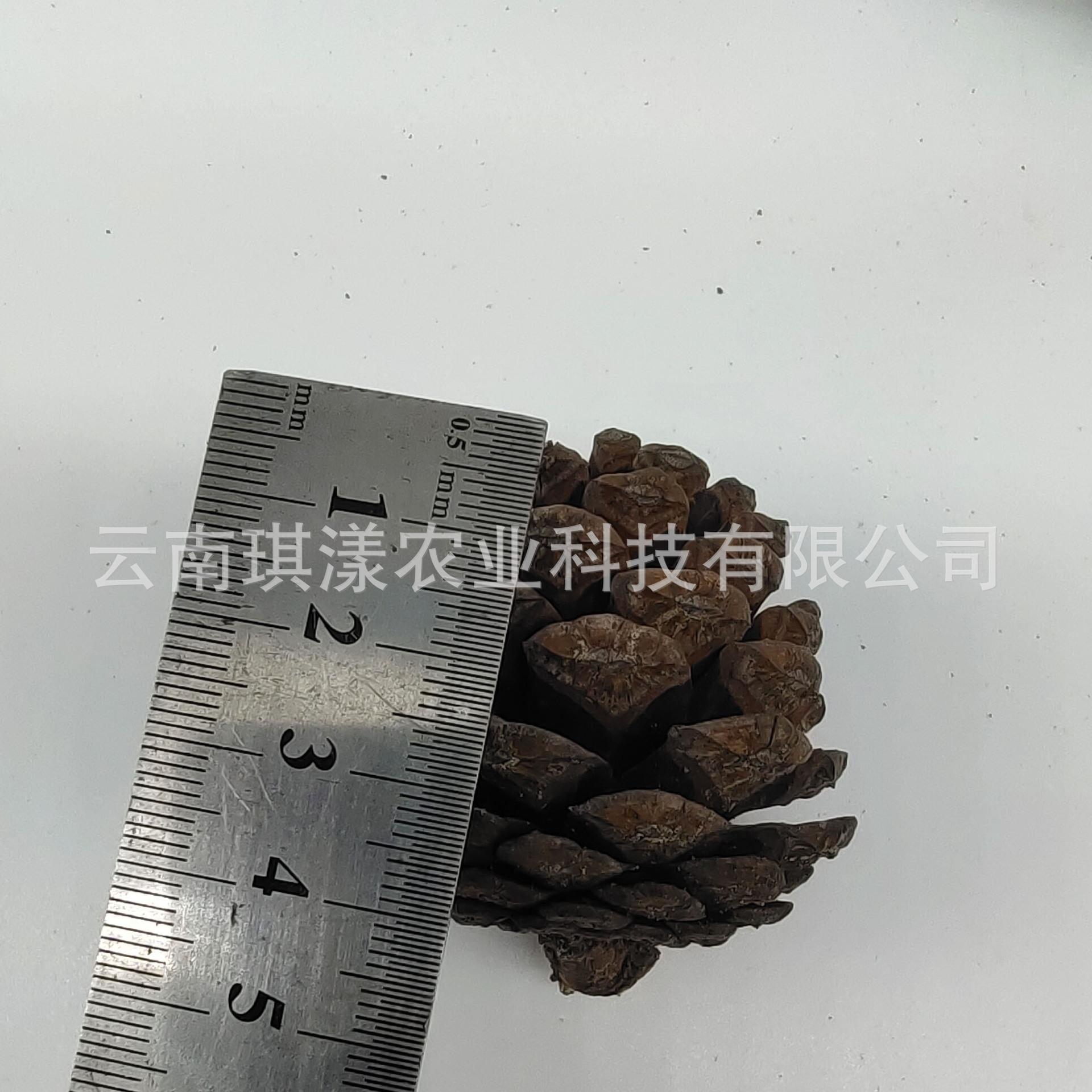 微信图片_20201016103535.jpg