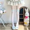 MediasLolita de Encaje Dulce hasta la Rodilla para Mujer, Calcetines Altos Lolita Estilo Ballet Blancos, Calcetines de Muslo
