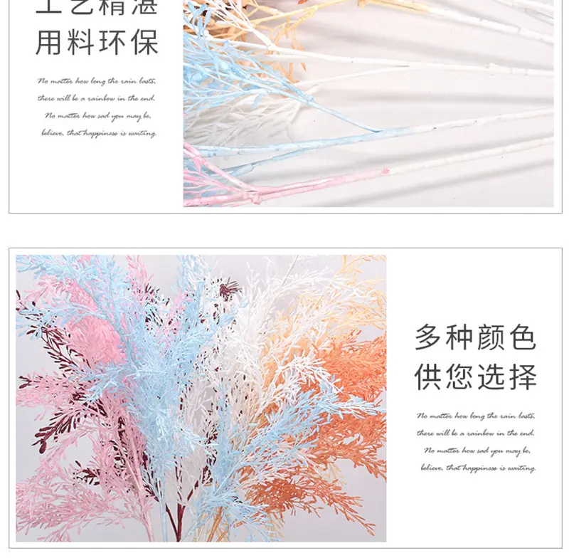 米粒草_10.jpg
