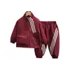 Conjunto de Chaqueta de Primavera y Otoño para Niños, Conjunto Deportivo de Dos Piezas de Marca Moderna para Niños en Otoño, Ropa Elegante de Comercio Exterior para Niños Pequeños