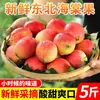 Fruta Areia K9 do Nordeste 2,5 kg Maçãs Pequenas Doces e Azedas Fruta Fresca da Estação Coração de Frango Maçã-do-Campo 1/ 1,5 kg Frete Grátis
