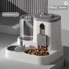 Comedouros Elevados para Pets com Tigela Removível de Aço Inoxidável e Dispensador Automático de Água para Gatos e Cachorros