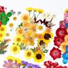 Bolsa de Rafia para Plantas Bolsa de Material para Estampado de Flores Secas Espécimen de Hoja de Flor Real Pintura DIY Marcapáginas Goteo de Pegamento Posavasos de Flores Secas