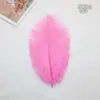 O Fabricante Fornece Penas de Avestruz Prontas de 25-30cm para Casamentos e Apresentações, Arranjos de Penas de Avestruz e Decorações com Penas