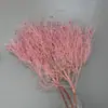 Florista Estilo Nórdico Temperamento Adornos Florales para el Hogar Rosa Decorativa Flores Secas Hierba de Ensueño Flores Eternas Multicolor Venta al por Mayor