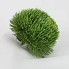 Flor de Clavel Verde Simulada Bola de Pelo Verde Adornos de Planta Verde Adornos Decorativos Creativos para el Hogar Sala de Estar Escritorio Bola de Espinas Musgo