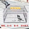 Equipo de Puerta para Jaula de Palomas, Trampa Automática para Palomas, Atrapador Automático por Colisión, Jaula para Palomas Totalmente Automática