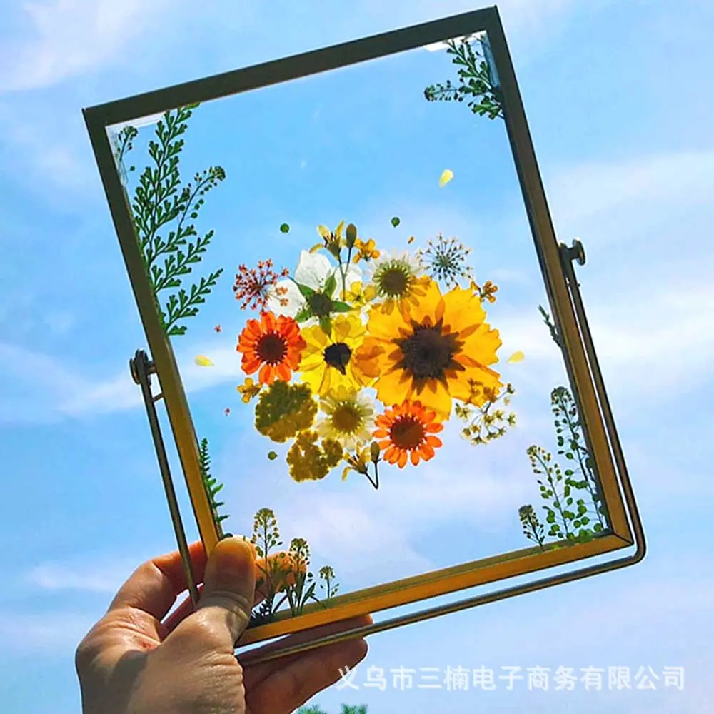 未标题-1.jpg