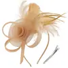 Diadema Caliente Transfronteriza Malla Pluma Tocado Retro Elegante Diadema Versátil Accesorios para el Cabello Fiesta Actuación Flor para el Cabello