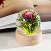 Suministro Transfronterizo Bola de Cristal de Resina Incrustada Luz Nocturna Flor Eterna Base de Madera Maciza Tallada en 3D Luminosa Regalo de Cristal