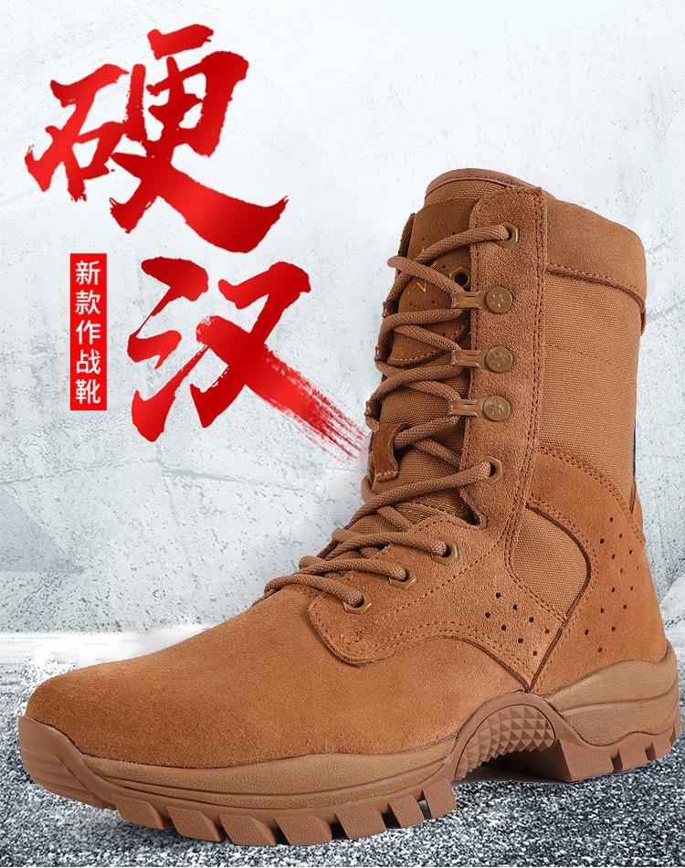 21作战详情_02.jpg