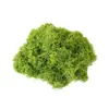 Grama de Musgo Biónica Artificial Musgo Falso Micro Paisagismo Decoração Gramado Bonsai Plantado em Vaso Pavimentação Paisagismo