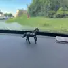 Decoração de carro para cavaleiro antigo e cavalheiresco do Jianghu, ornamentos de boneca para paisagem em miniatura de rochas de bonsai, atacado