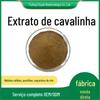 Extrato de Qinjiang 10:1/20:1 Venda Direta de Fábrica de Silicone Qinjiang Pó de Qinjiang Extrato de Qinjiang