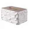 Caixa de Lenços de Madeira para Papel Higiênico Simples e Criativa Atacado para Sala de Estar Uso Doméstico Multifuncional Caixa de Lenços de Papel para Guardanapos com Controle Remoto