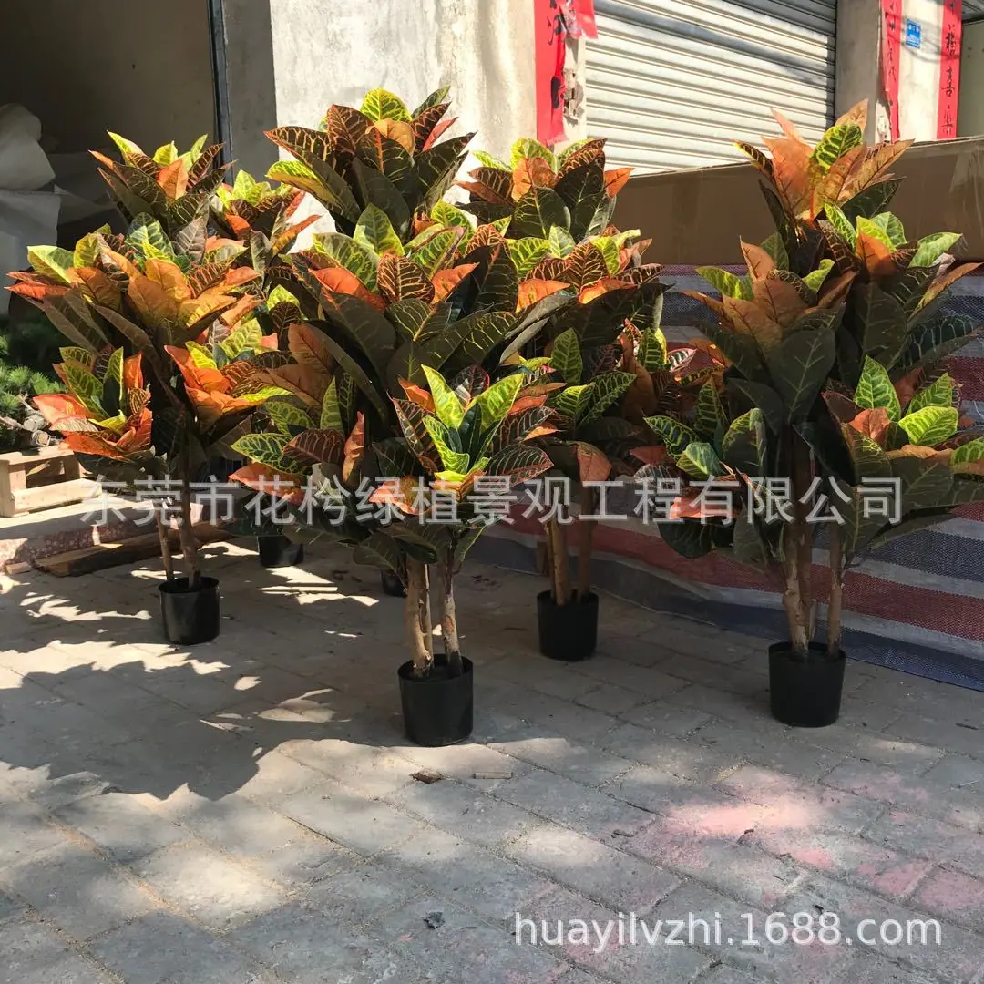 图片_202002271604392
