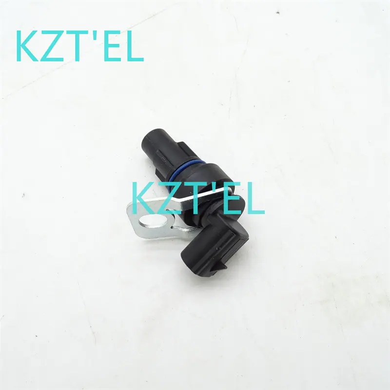 29509637 (4)