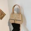 Bolso de Mujer de Diseño Francés 2024 Nuevo Bolso de Flecos de Moda Bolso de Hombro Cuadrado Pequeño Popular en Internet Bolso de Mano Casual Simple