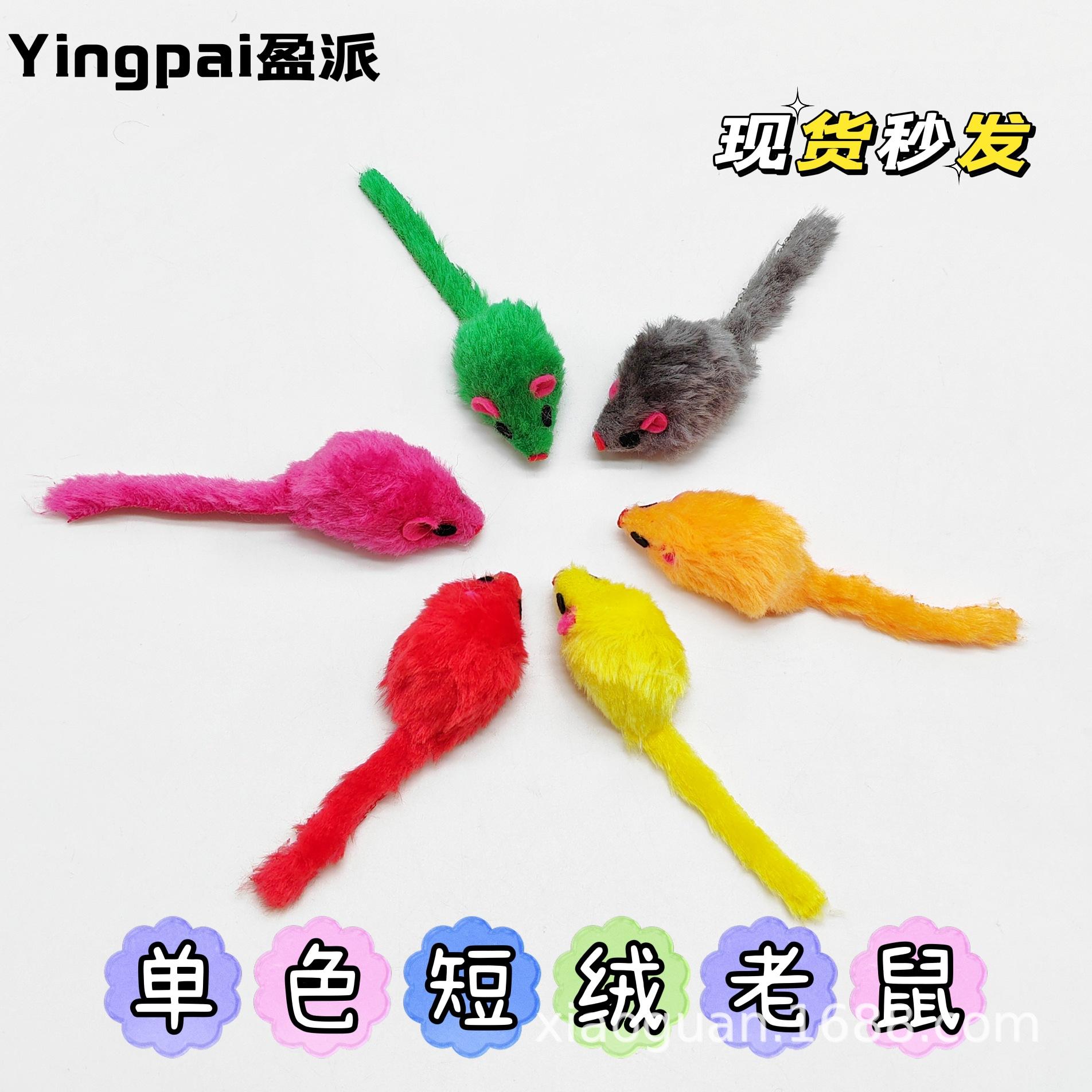 老鼠IMG_20220404_114914_mh164905