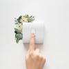 Novo fun-kg26 verde planta flor folha interruptor adesivos quarto sala de estar decoração adesivos de parede