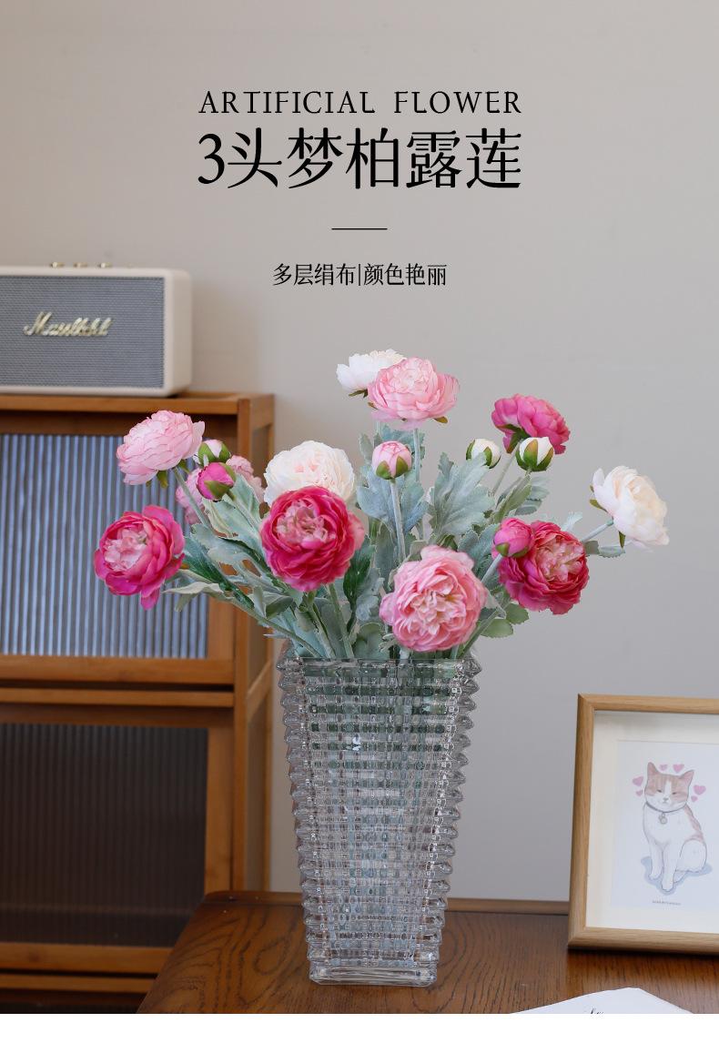 3头梦柏露莲_01