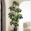 Simulación Planta Verde Pata de Pato Madera Lujo Ligero de Alta Gama Interior Sala de Estar Planta Verde Artificial en Maceta Planta Biónica Adornos Decorativos de Piso
