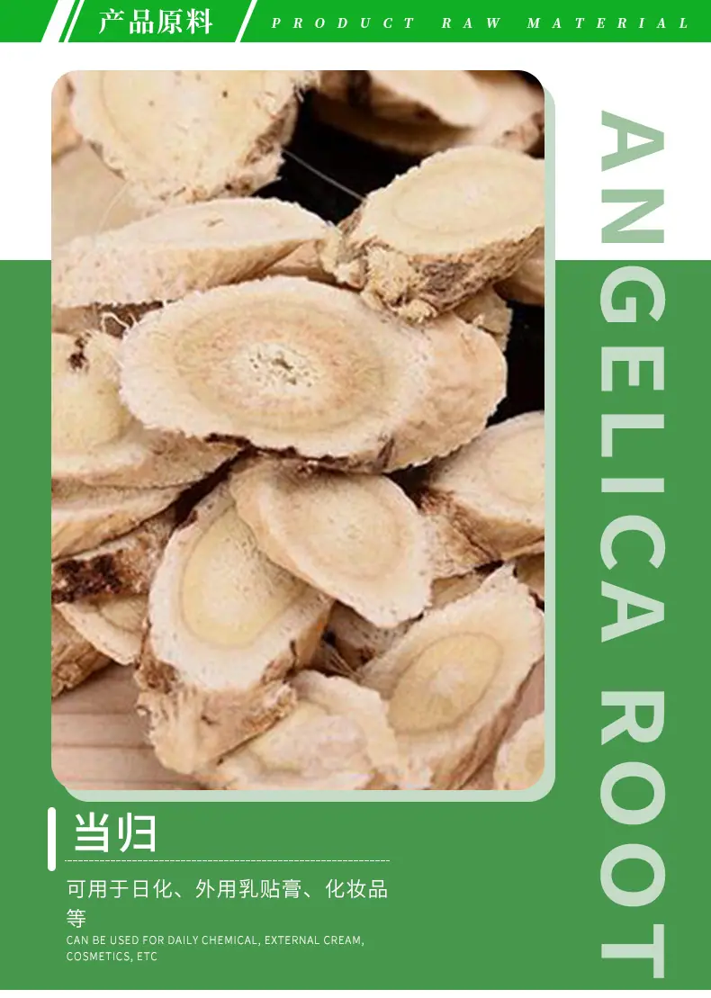 当归油_03