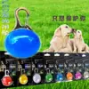 LED Pet Pingente Luminoso Outdoor Travel Dog Saindo Pingente Anti-Perdido Esférico Luminoso Pingente Pet Suprimentos
