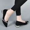 Zapatos de tacón bajo para mujer con punta fina, tacón grueso y pedrería, de corte bajo, nuevos de otoño 2026, elegantes, color negro esmerilado, para el trabajo