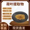 Extracto de hoja de loto al por mayor en stock 30:1 polvo de hoja de loto con base de loto extracto de hoja de loto materia prima soluble en agua