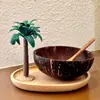 Cuenco de cáscara de coco Cuenco de cáscara de coco Vietnamita Cuchara de madera Cuenco para ensalada de frutas Cuenco para helado raspado Madera de ala de pollo