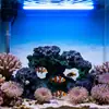 Decoración Acuario Arrecife de Coral Artesanías de Resina Adornos Paisajismo Acuario Decoraciones de Piedra Peces y Camarones Juego y Escondite