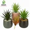Simulación planta suculenta súper grande tamaño pequeño suculenta bonsái planta verde flor de plástico en maceta micro paisaje con pared vegetal