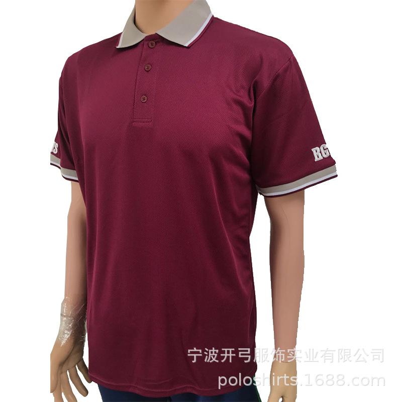 Polo (1).jpg