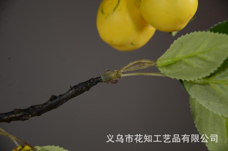 2-12黄色欧罗梨子.JPG