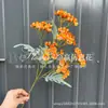 Nova simulação flor 6 cabeça hortênsia selvagem casamento auditório enfeite flores decorativas mesa de hotel flores falsas comércio exterior