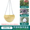 Maceta Chlorophytum para balcón, planta en maceta colgante con gancho, maceta colgante pequeña para suculentas de interior, maceta cesta colgante de plástico