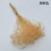 [Xia Cao] Yongsheng Xia Cao Yongsheng pequena Céu Estrelado mini um milhão de estrelas céu estrelado