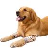 Proteção Contra Lesões e Frio Golden Retriever Pet Joelheiras Quentes Shiba Inu Cão de Porte Médio Cotoveleiras Leggings Cobertura Protetora para Cirurgia de Articulação de Cão