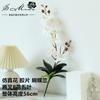Flor de imitación de dos tenedores, película de 8 cabezas, Phalaenopsis, suministros creativos de bricolaje, decoración, suministro directo de fábrica, planta verde artificial, flores falsas