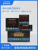 Instrumento com display digital, dispositivo de alarme com display digital, controlador de temperatura, medidor de pressão e nível de líquido, pode ser equipado com RS485