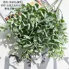 Acessórios de Parede de Planta de Eucalipto, Flores Artificiais, Venda por Atacado de Flores Artificiais, Artesanato para Decoração de Casamento, Plantas Verdes Estilo Ins